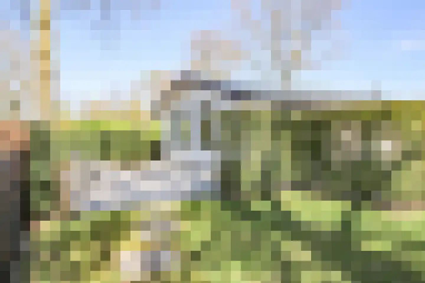 Harremaatweg 46 26 Voorthuizen thumbnail 30