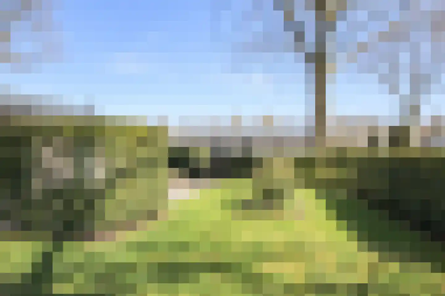 Harremaatweg 46 26 Voorthuizen thumbnail 39