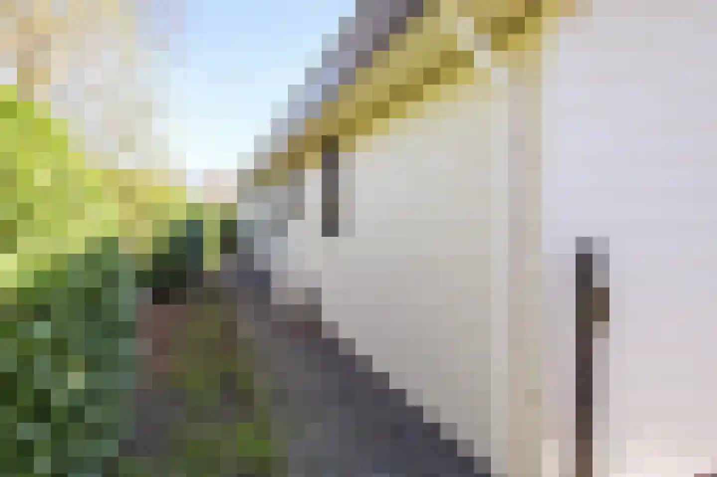 Harremaatweg 46 26 Voorthuizen thumbnail 43