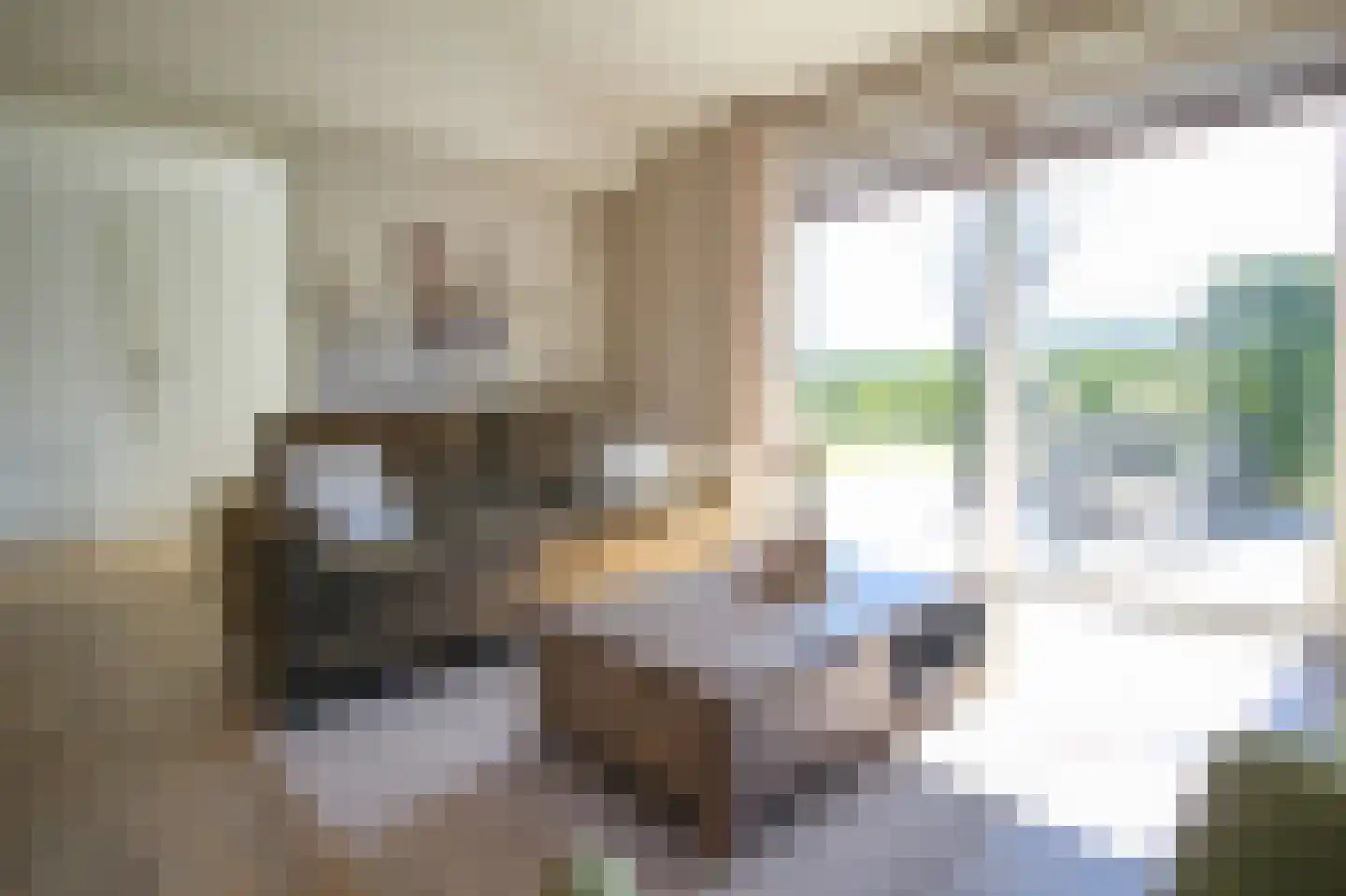 Harremaatweg 46 26 Voorthuizen thumbnail 5