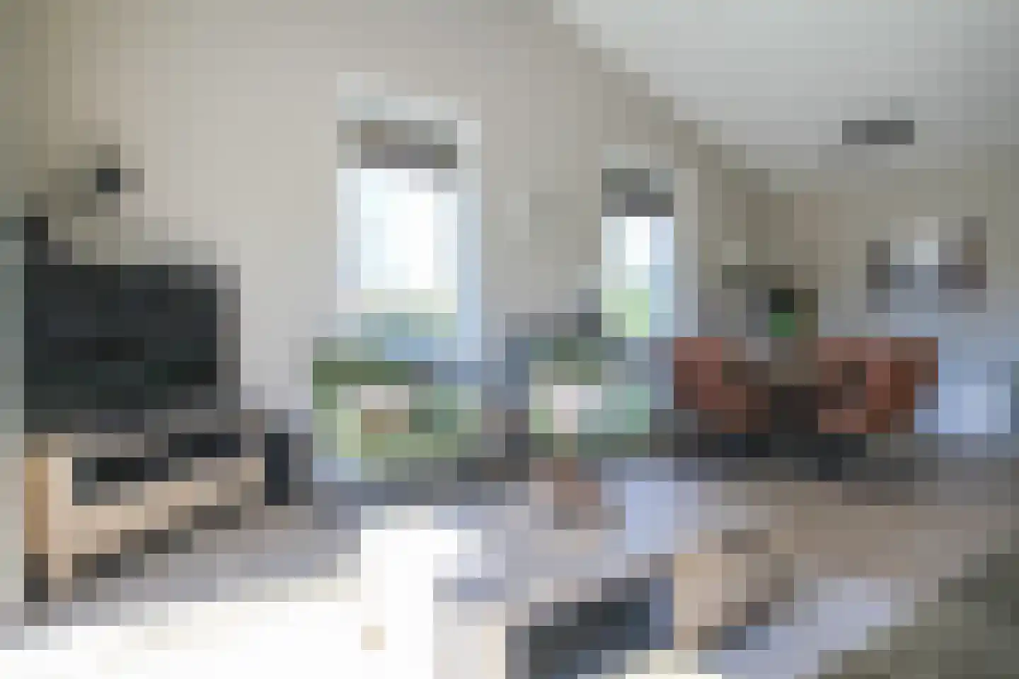 Harremaatweg 46 26 Voorthuizen thumbnail 6