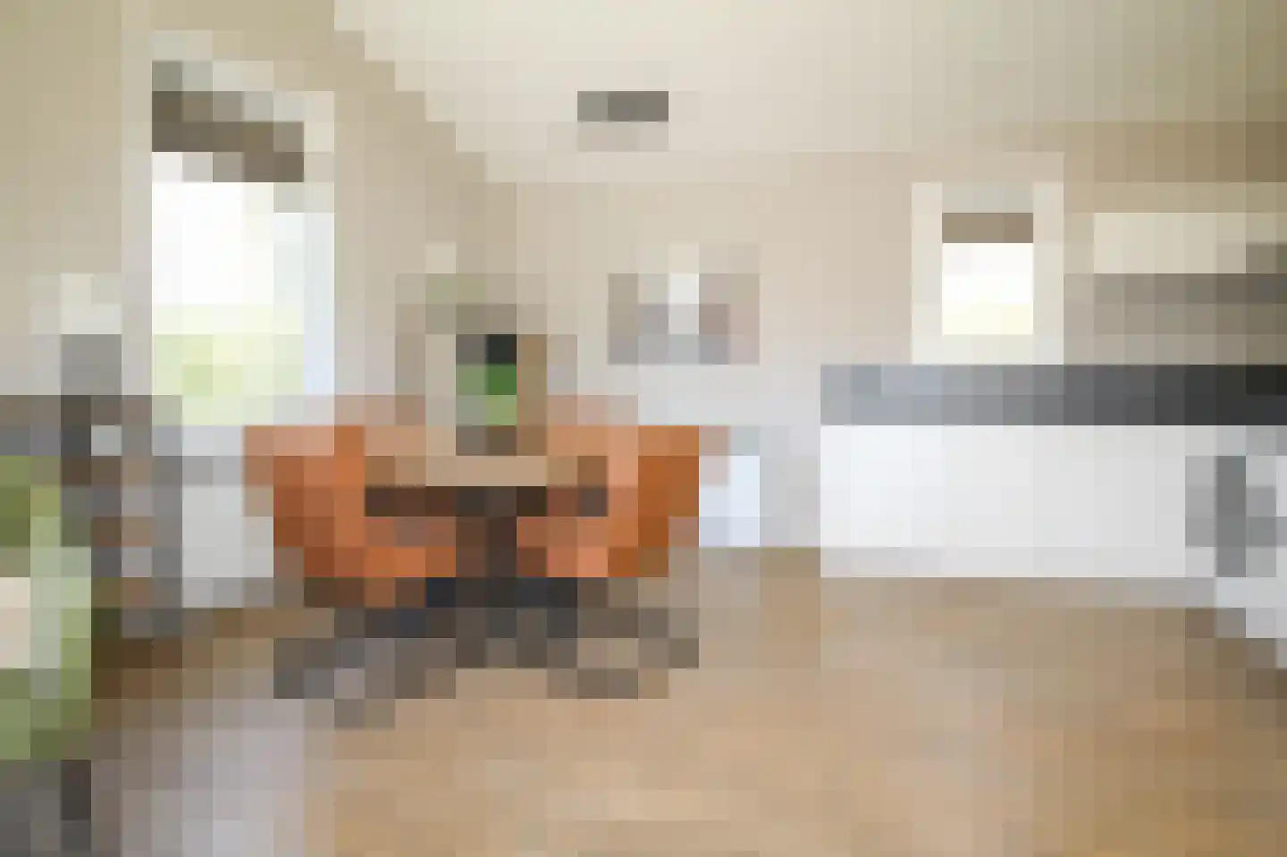 Harremaatweg 46 26 Voorthuizen thumbnail 7