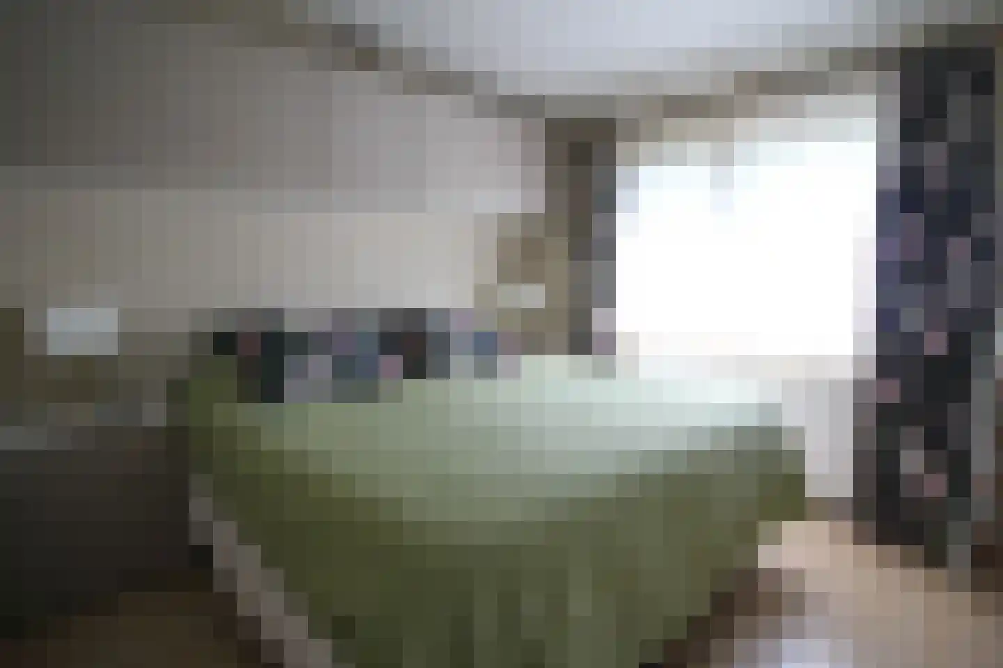 Harremaatweg 46 36 Voorthuizen thumbnail 15