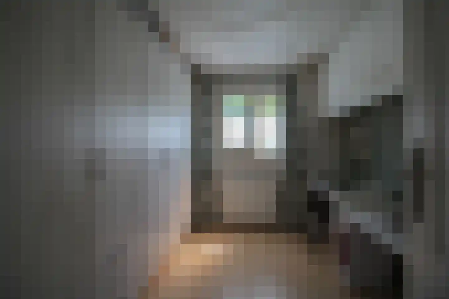Harremaatweg 46 36 Voorthuizen thumbnail 17