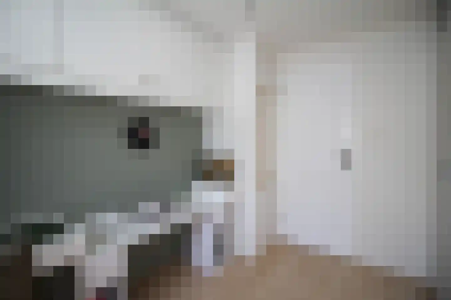 Harremaatweg 46 36 Voorthuizen thumbnail 18