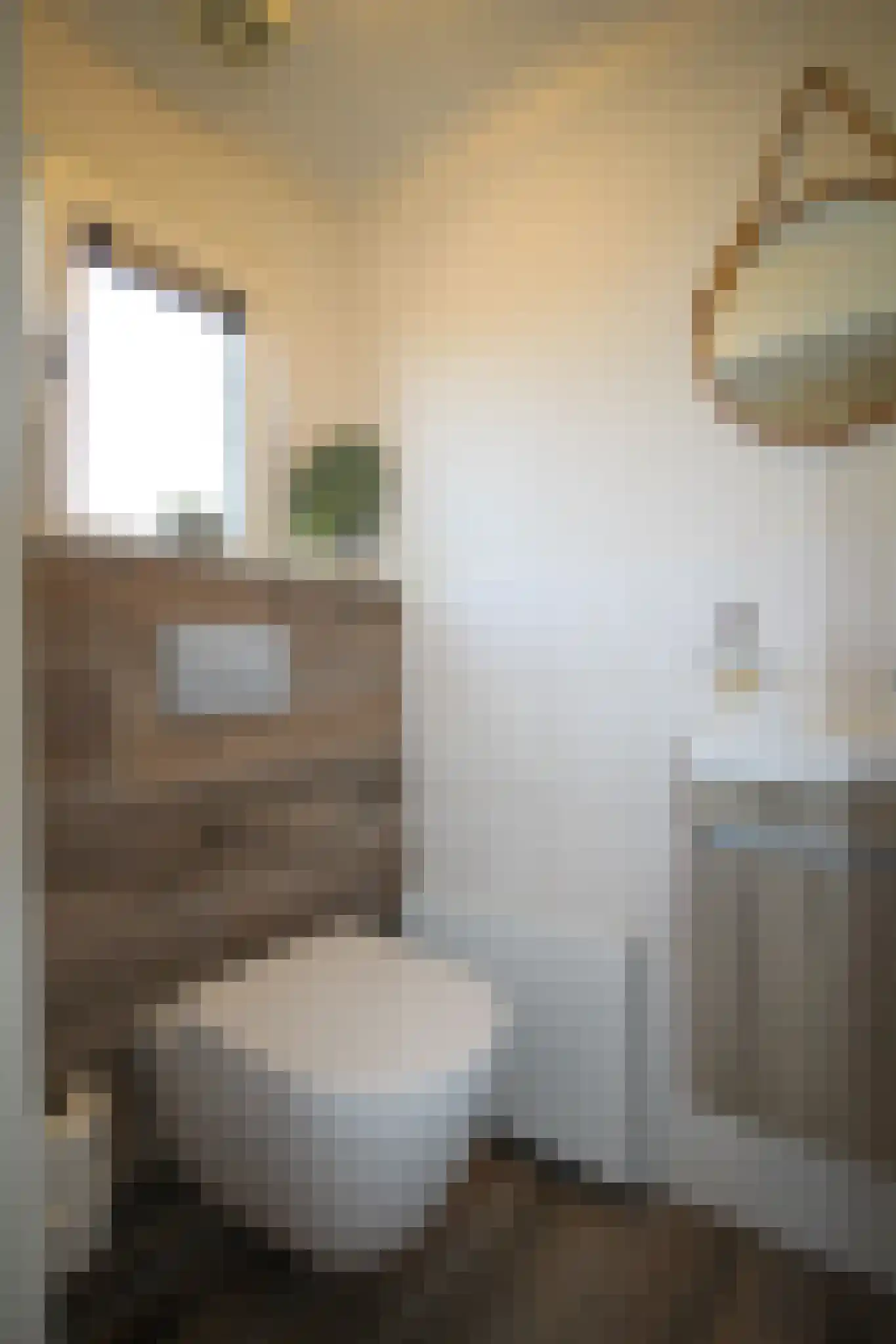 Harremaatweg 46 36 Voorthuizen thumbnail 20