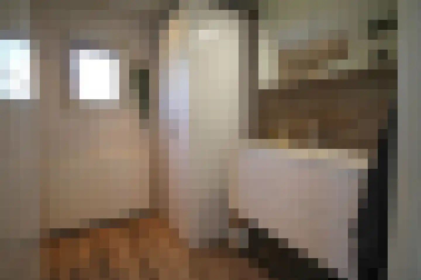 Harremaatweg 46 36 Voorthuizen thumbnail 21