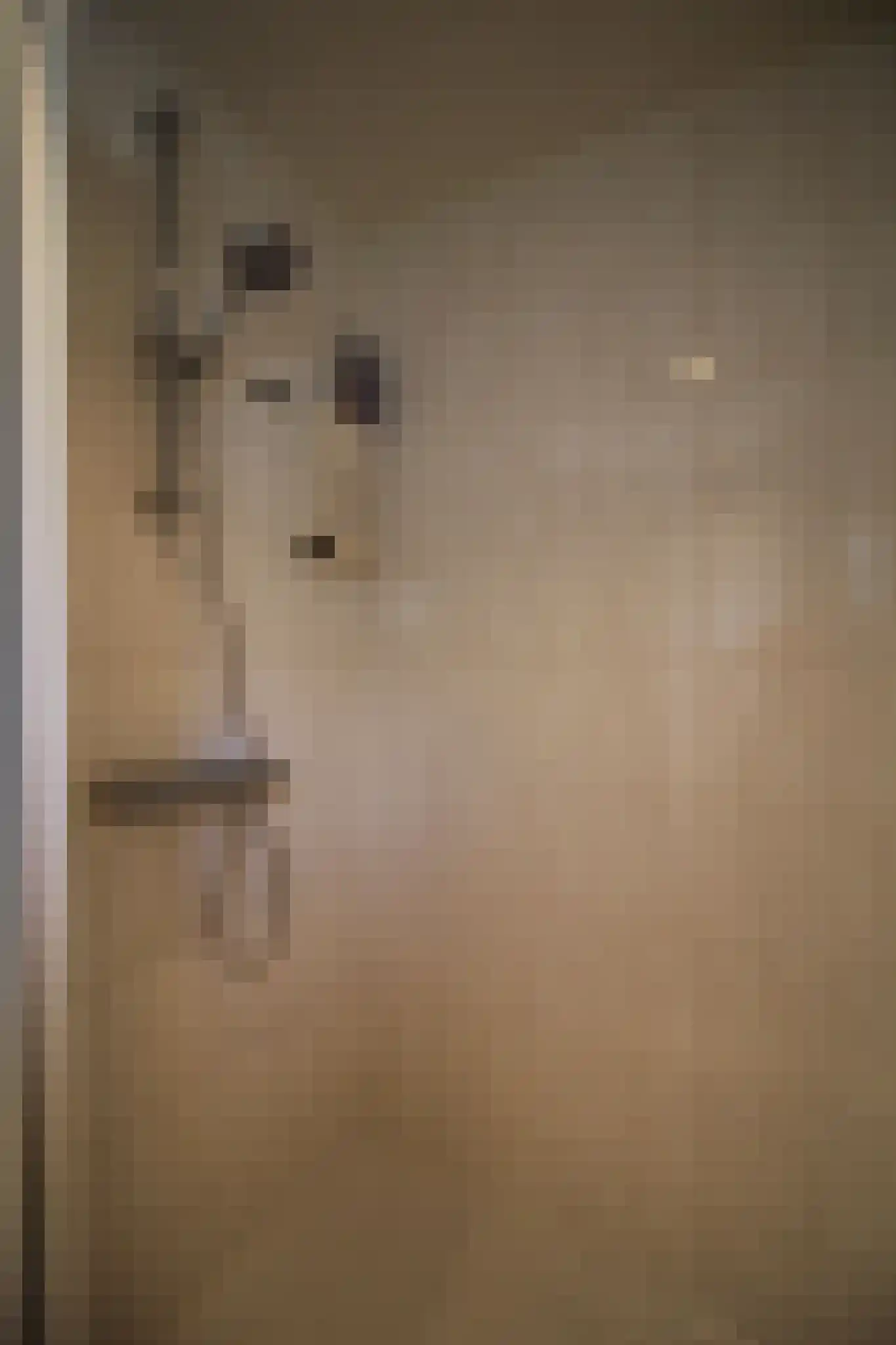 Harremaatweg 46 36 Voorthuizen thumbnail 22