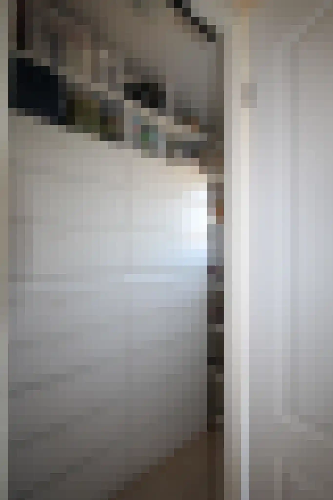 Harremaatweg 46 36 Voorthuizen thumbnail 24