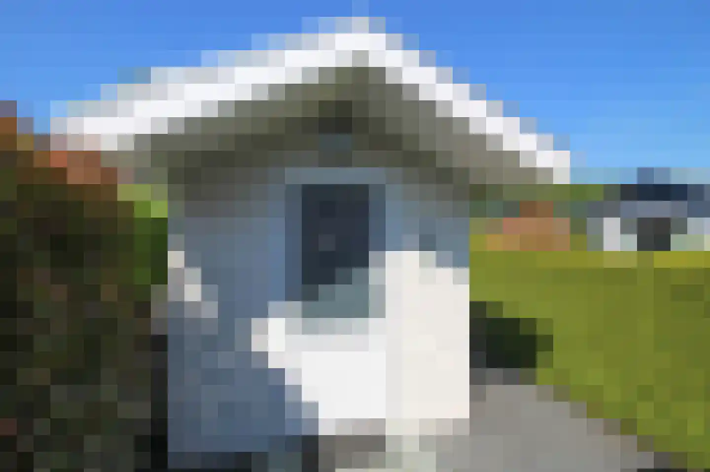Harremaatweg 46 36 Voorthuizen thumbnail 34