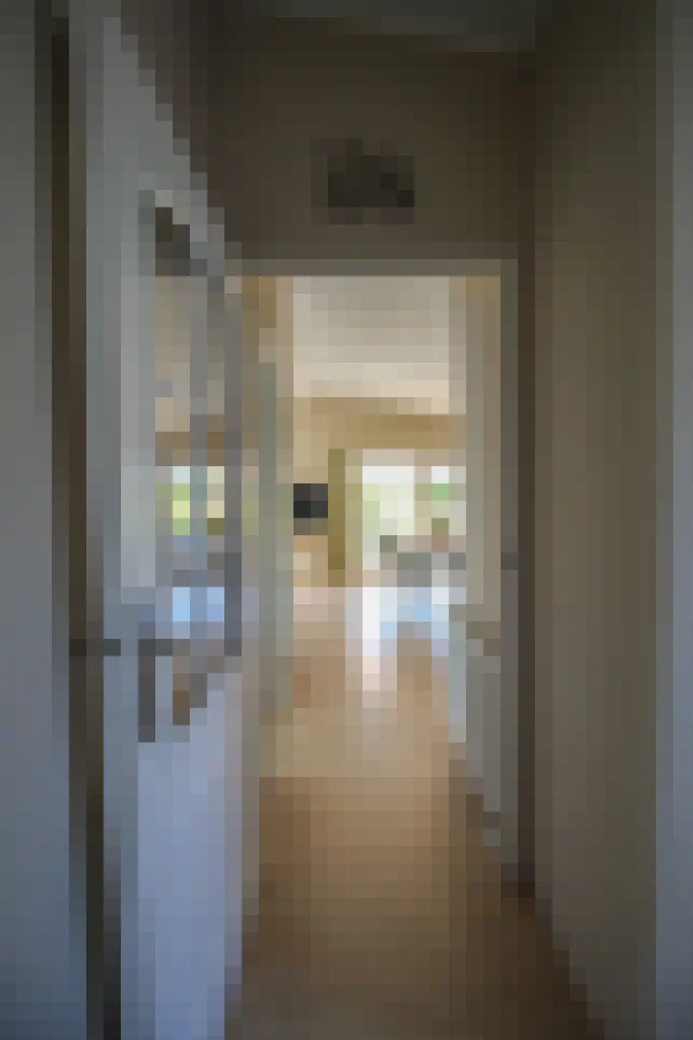 Harremaatweg 46 36 Voorthuizen thumbnail 4