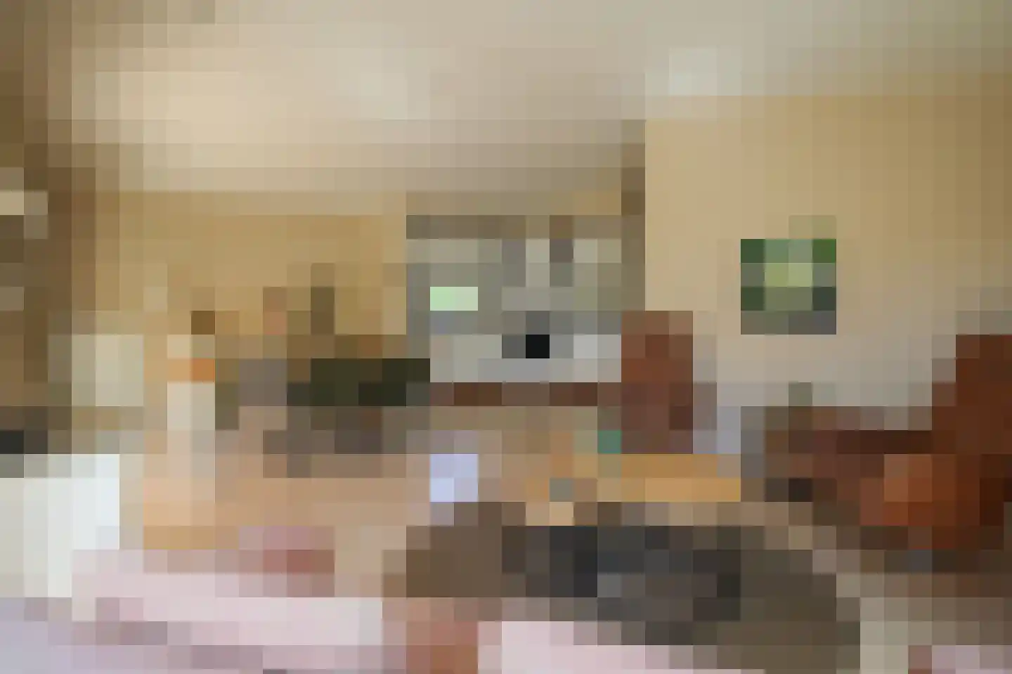 Harremaatweg 46 36 Voorthuizen thumbnail 7