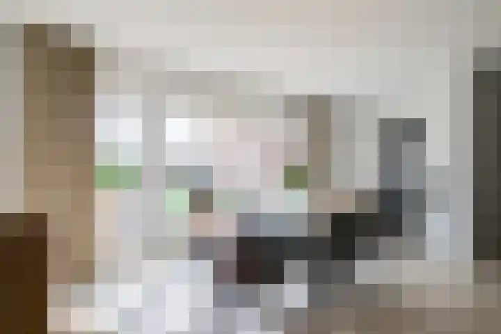 Harreveldseweg 22 Zieuwent thumbnail 15