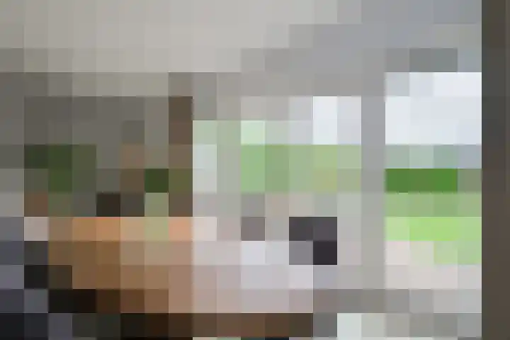 Harreveldseweg 22 Zieuwent thumbnail 17