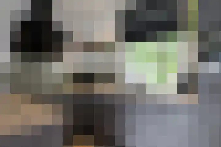 Harreveldseweg 22 Zieuwent thumbnail 24