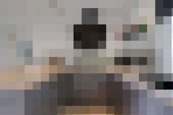 Harreveldseweg 22 Zieuwent thumbnail 25