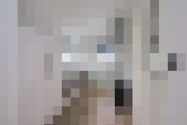 Harreveldseweg 22 Zieuwent thumbnail 28
