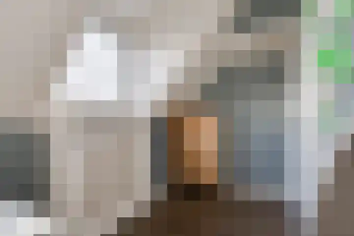Harreveldseweg 22 Zieuwent thumbnail 37