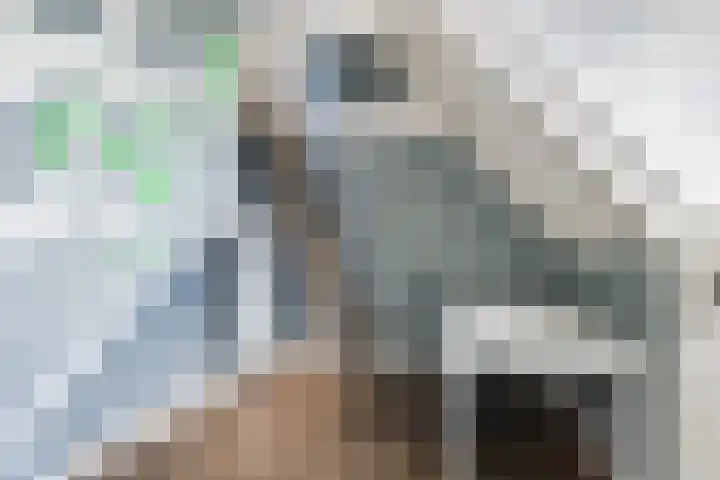 Harreveldseweg 22 Zieuwent thumbnail 38
