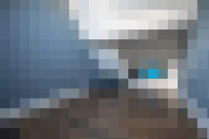 Harreveldseweg 22 Zieuwent thumbnail 39