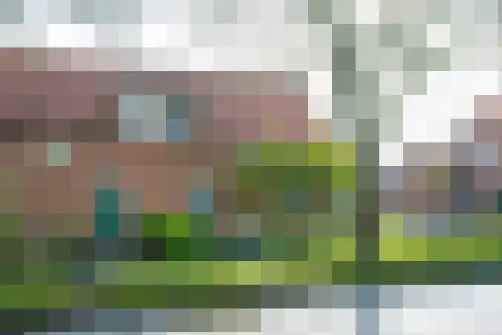 Harreveldseweg 22 Zieuwent thumbnail 4
