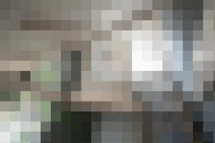 Harreveldseweg 22 Zieuwent thumbnail 41