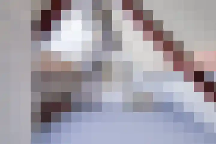 Harreveldseweg 22 Zieuwent thumbnail 47