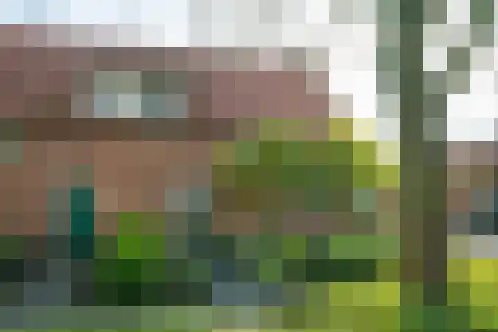 Harreveldseweg 22 Zieuwent thumbnail 5