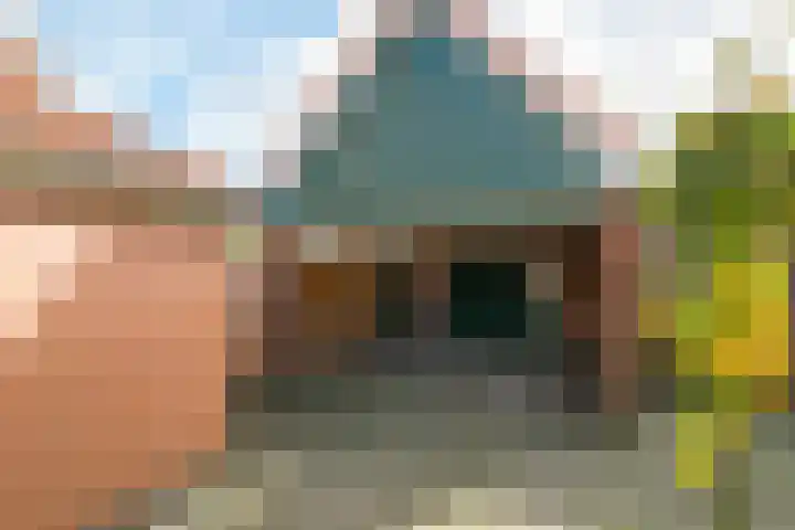 Harreveldseweg 22 Zieuwent thumbnail 53