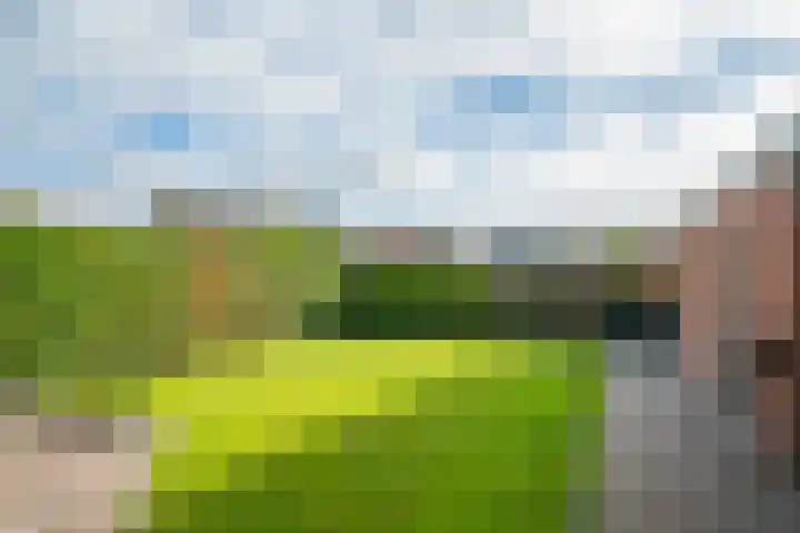 Harreveldseweg 22 Zieuwent thumbnail 57
