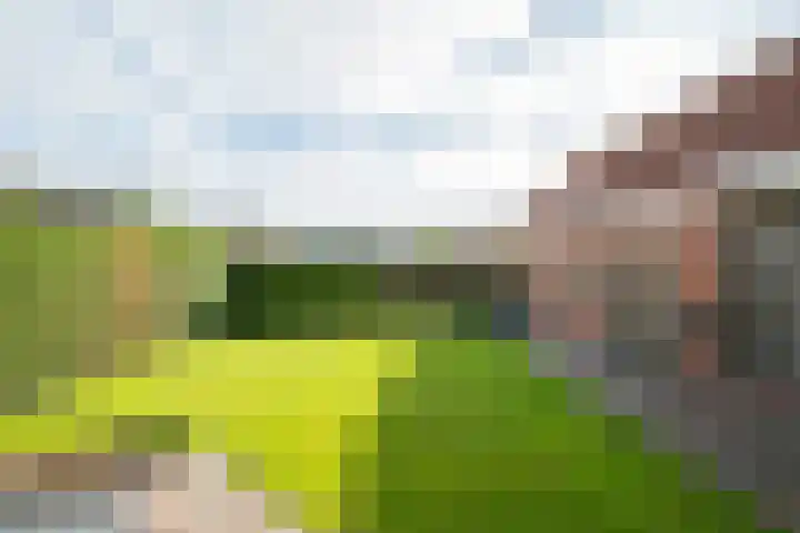 Harreveldseweg 22 Zieuwent thumbnail 58