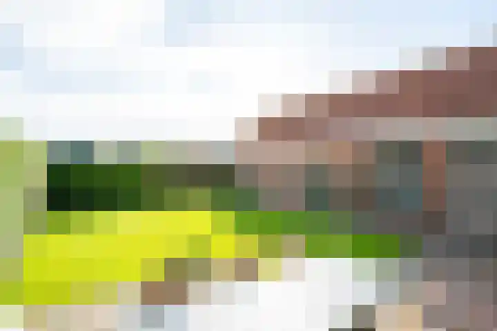 Harreveldseweg 22 Zieuwent thumbnail 59