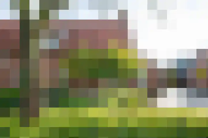 Harreveldseweg 22 Zieuwent thumbnail 6