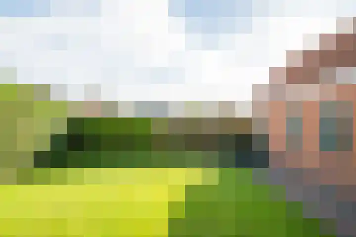 Harreveldseweg 22 Zieuwent thumbnail 60