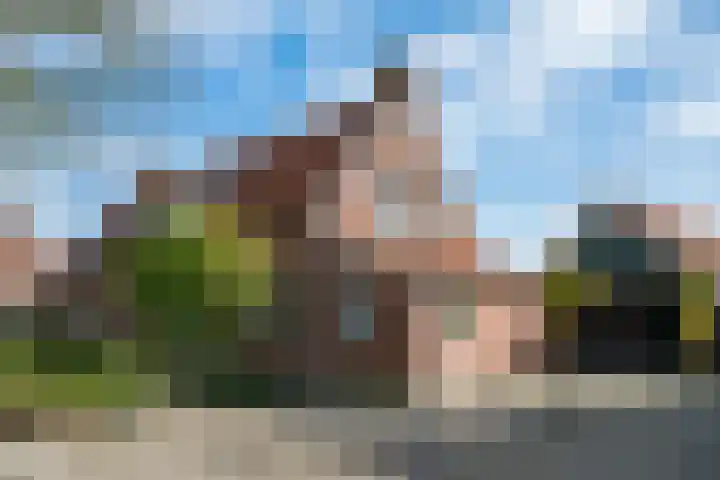 Harreveldseweg 22 Zieuwent thumbnail 7
