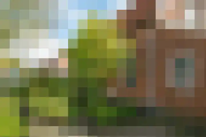 Harreveldseweg 22 Zieuwent thumbnail 8