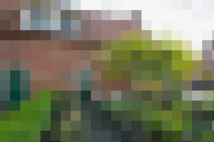 Harreveldseweg 22 Zieuwent thumbnail 9