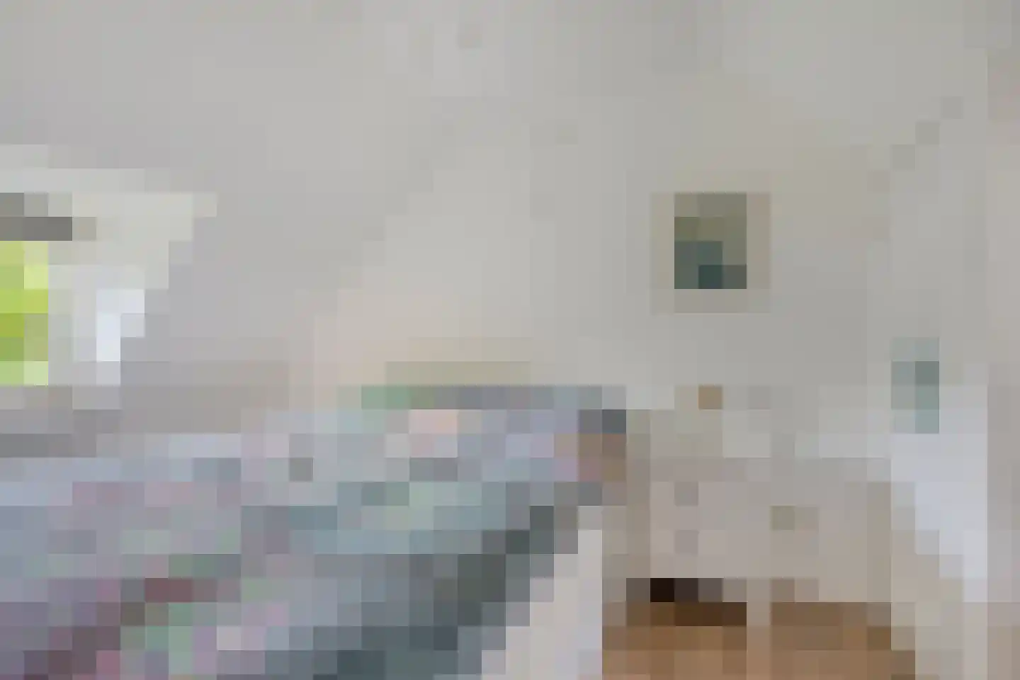 Harrie Driessenstraat 20 Horst thumbnail 16