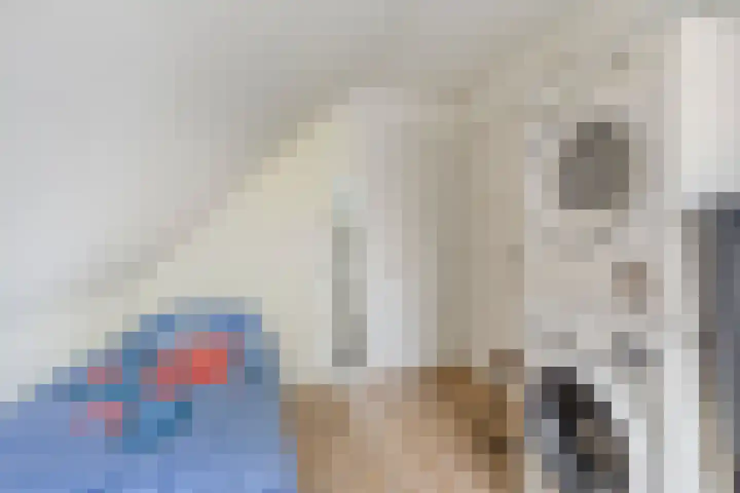 Harrie Driessenstraat 20 Horst thumbnail 19