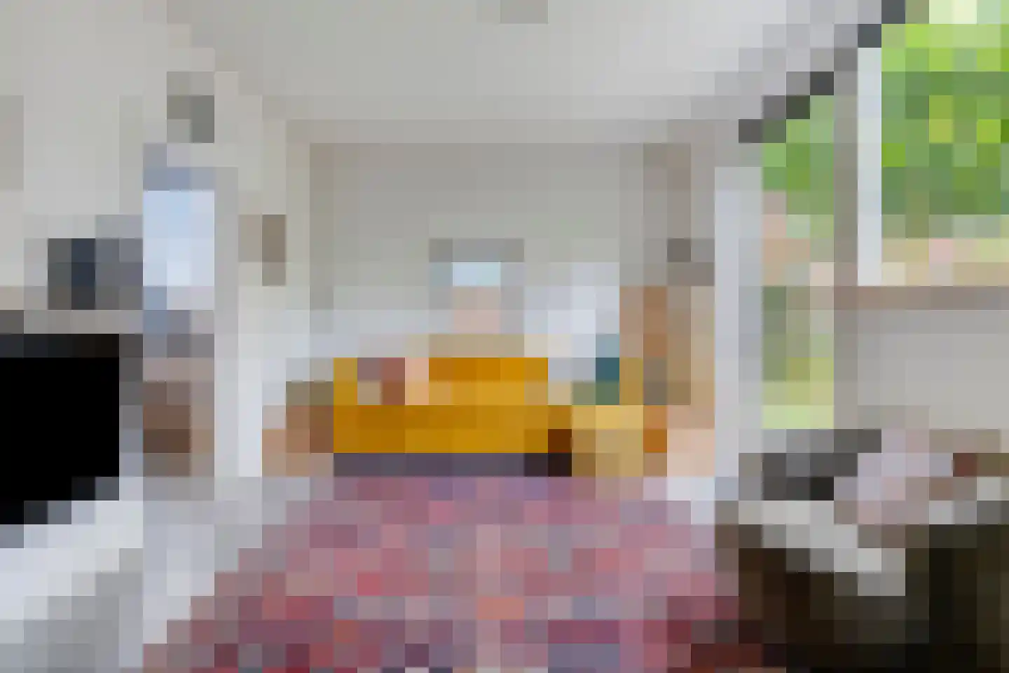 Harrie Driessenstraat 20 Horst thumbnail 5