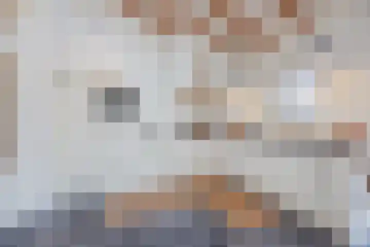 Harrie Driessenstraat 5 Horst thumbnail 18