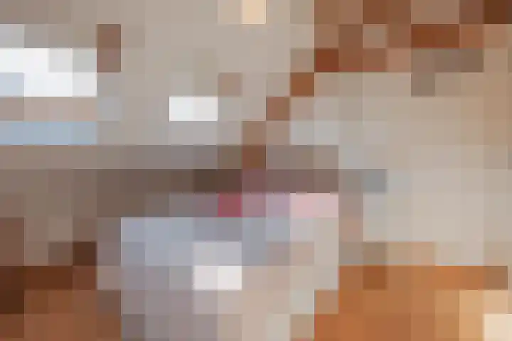 Harrie Driessenstraat 5 Horst thumbnail 30