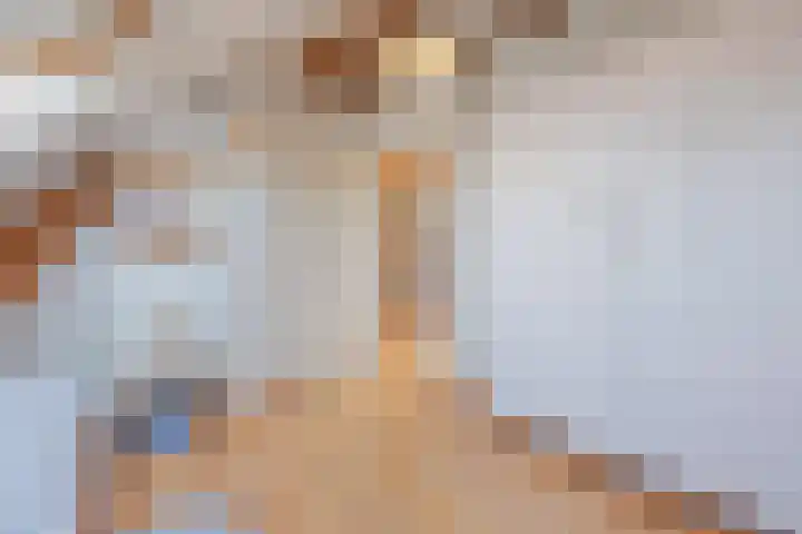 Harrie Driessenstraat 5 Horst thumbnail 36