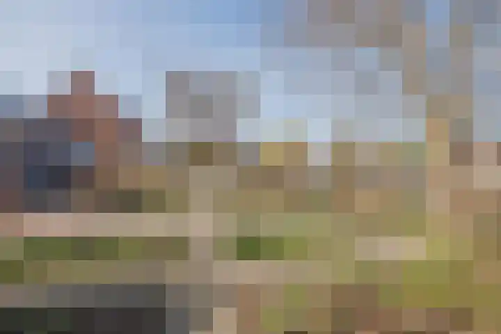 Harrie Driessenstraat 5 Horst thumbnail 43