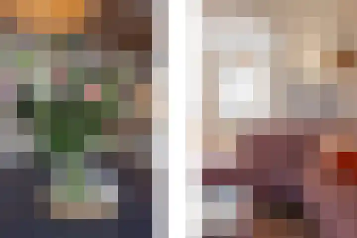 Harrie Driessenstraat 5 Horst thumbnail 5