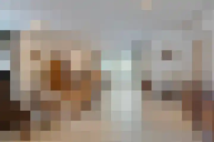 Harrie Driessenstraat 7 Horst thumbnail 14