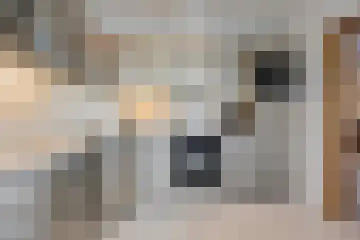 Harrie Driessenstraat 7 Horst thumbnail 19