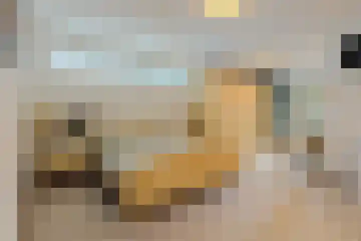 Harrie Driessenstraat 7 Horst thumbnail 22