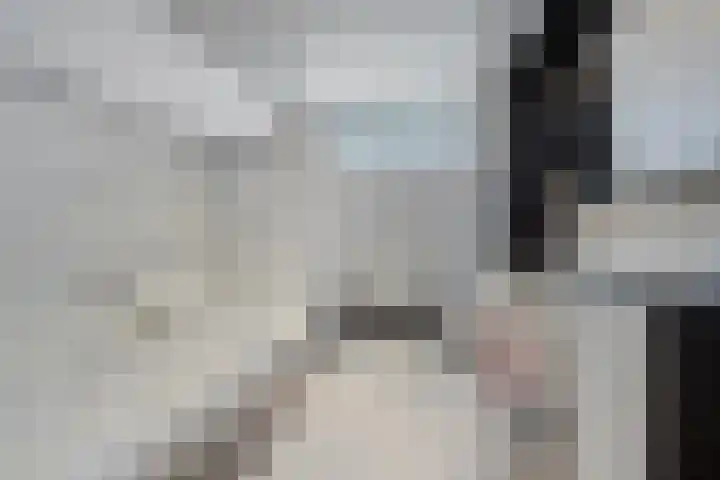 Harrie Driessenstraat 7 Horst thumbnail 26