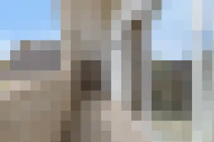 Harrie Driessenstraat 7 Horst thumbnail 37